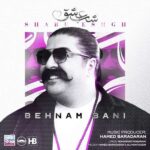 دانلود آهنگ بهنام بانی به نام شب عشق دانلود آهنگ بهنام بانی به نام شب عشق